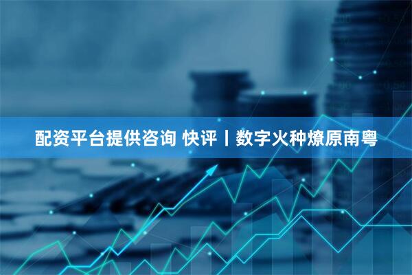 配资平台提供咨询 快评丨数字火种燎原南粤