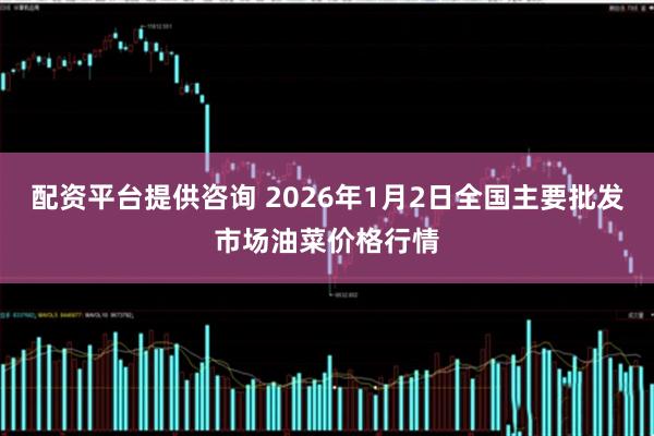 配资平台提供咨询 2026年1月2日全国主要批发市场油菜价格行情